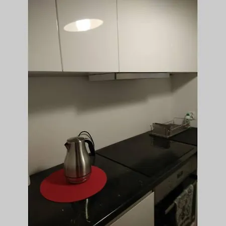 Silver Panska 61 Apartment Warsaw